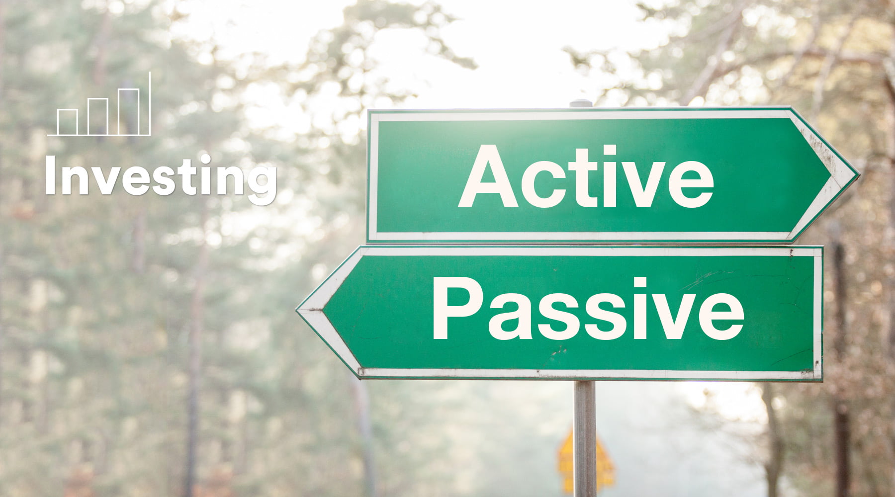 active vs passive investment