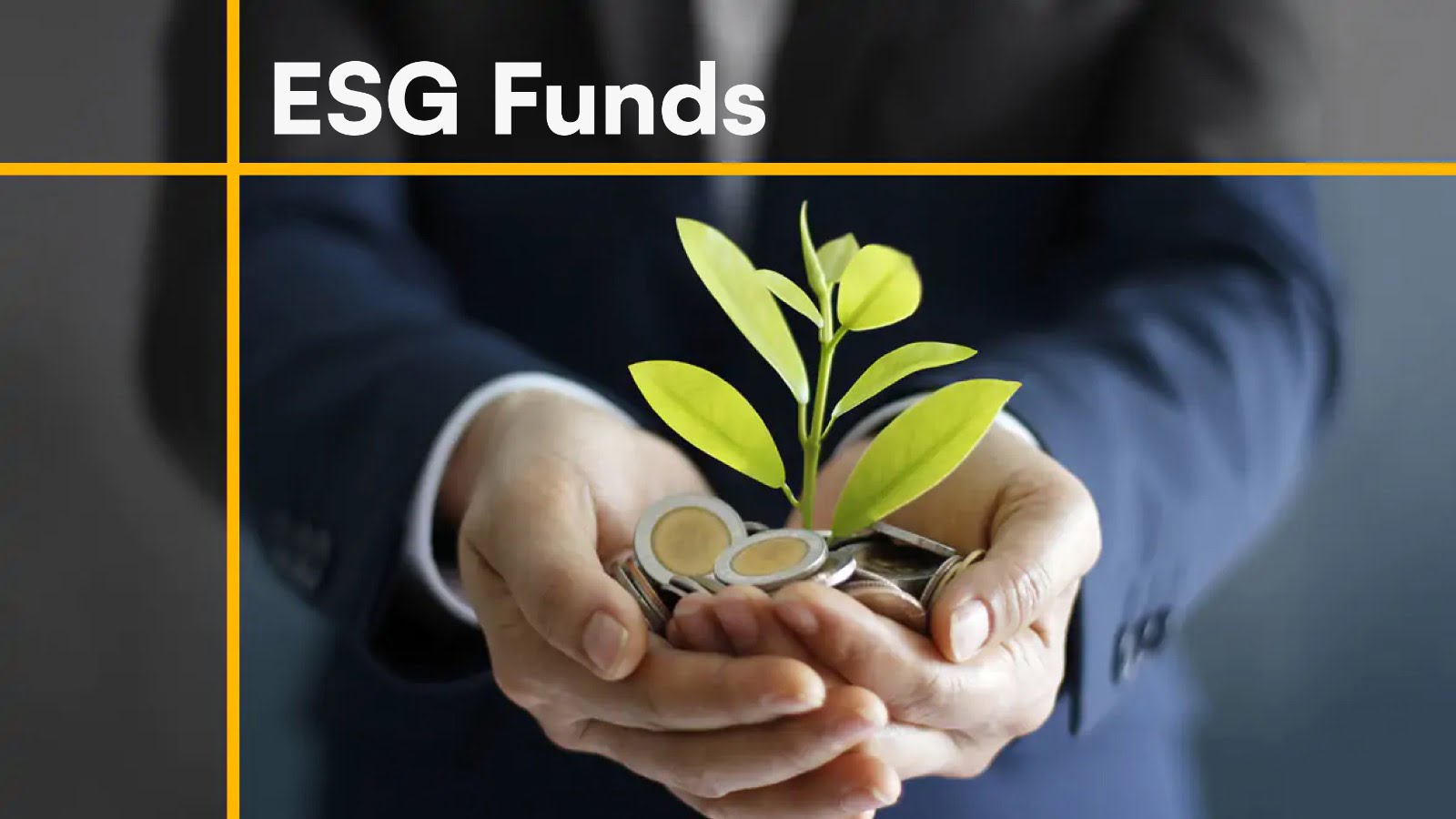 Navigating The Realm Of ESG Funds: A Closer Look At Sustainable Funds ...